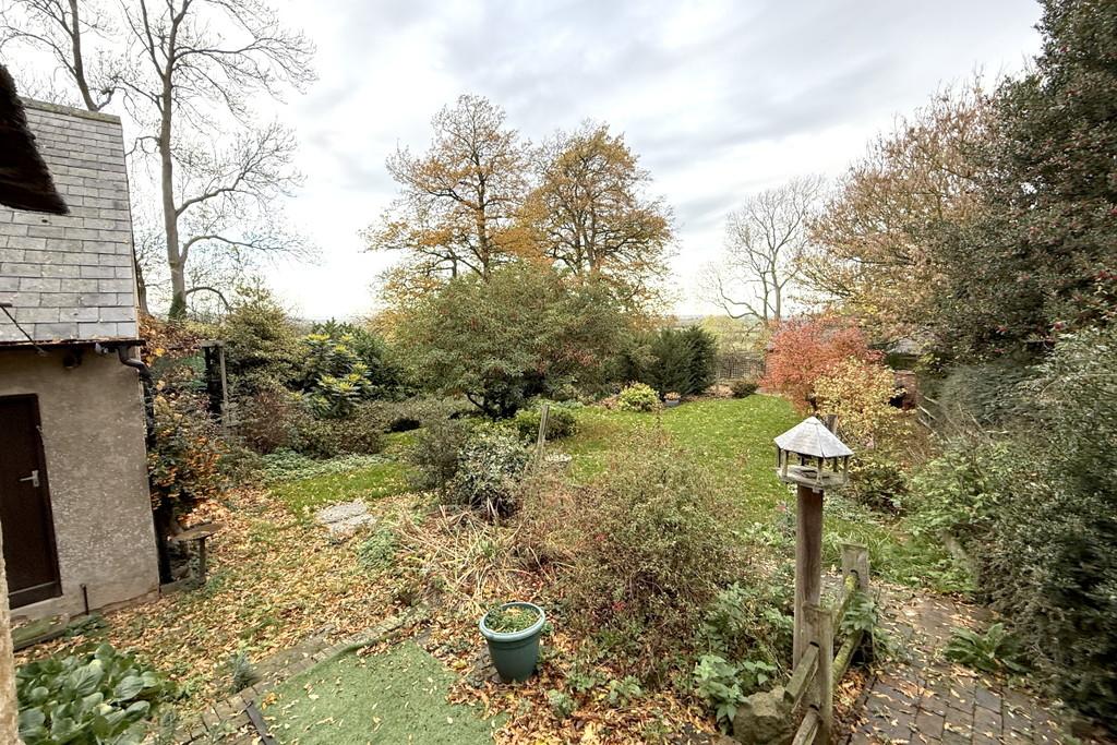 Garden 1