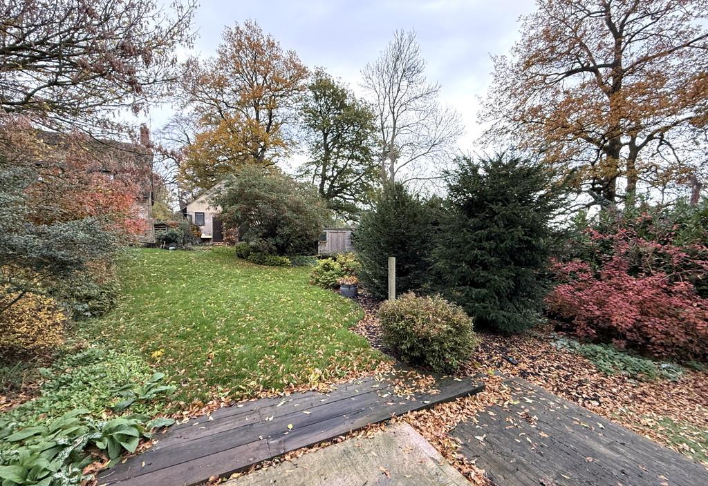 Garden 2
