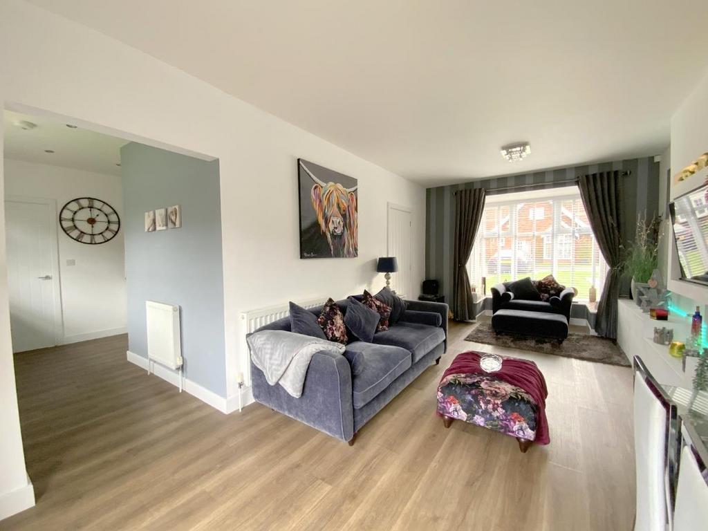 Resized IMG 6156.jpg