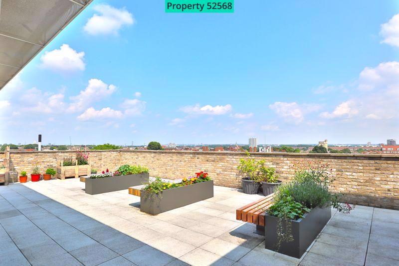Communal Rooftop