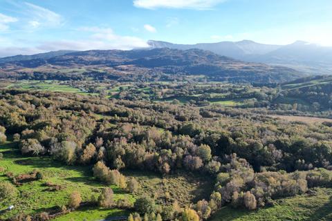 undefined, Llwyniarth, Dolgellau