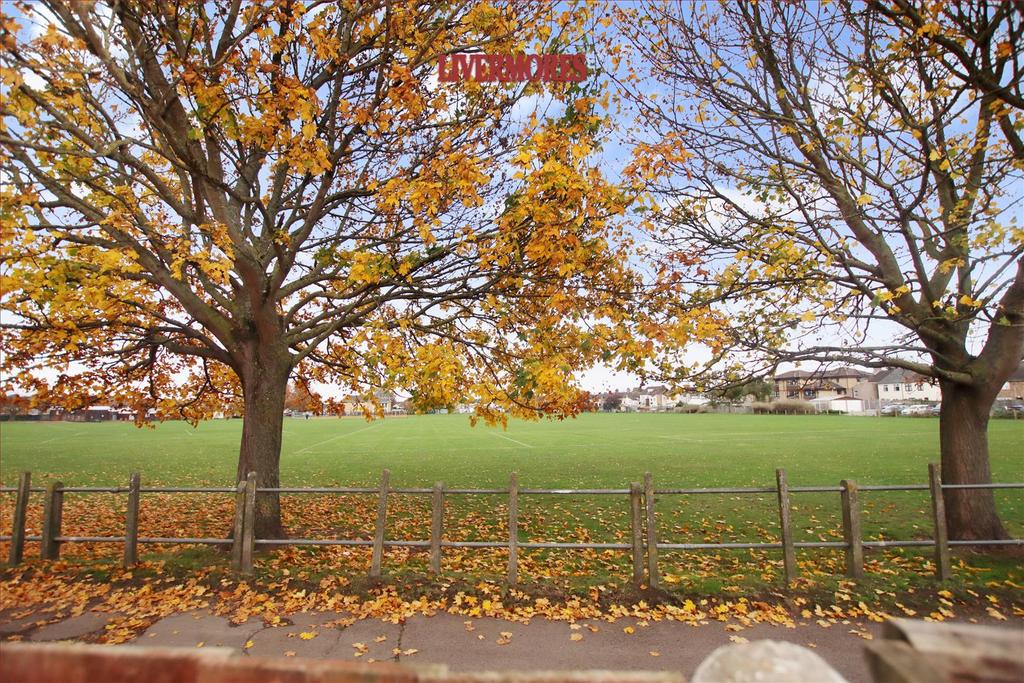 Park.jpg