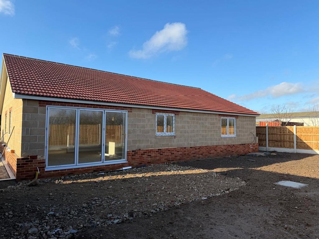 Rear Aspect
