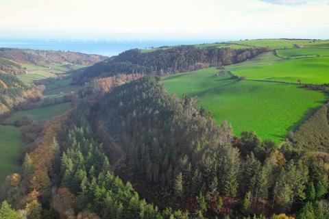 Woodland for sale, Bryn y M aen Wood, Llanelian LL29