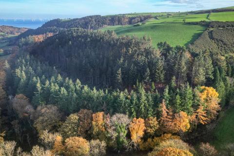 Woodland for sale, Bryn y M aen Wood, Llanelian LL29