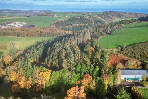 Woodland for sale, Bryn y M aen Wood, Llanelian LL29