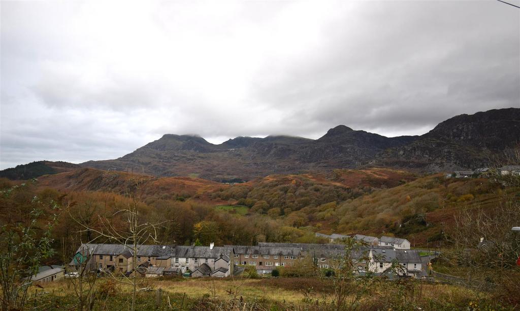 Dsc 3866.jpg