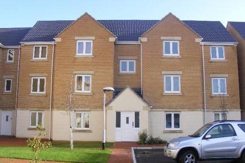 Macfarlane Chase, The Park, Weston-super-Mare