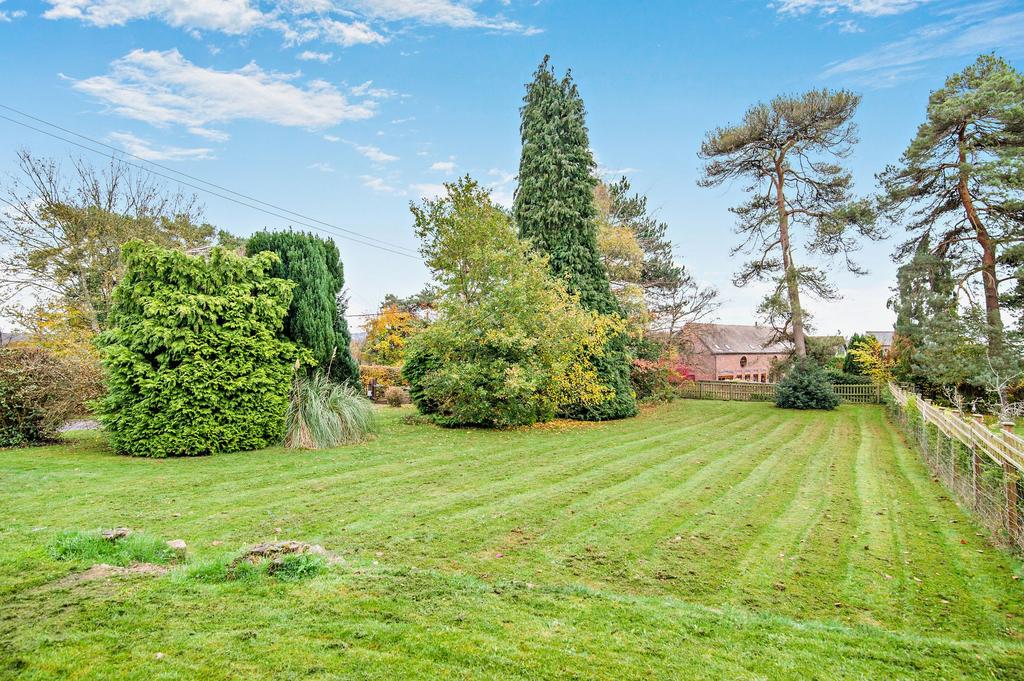 Front garden