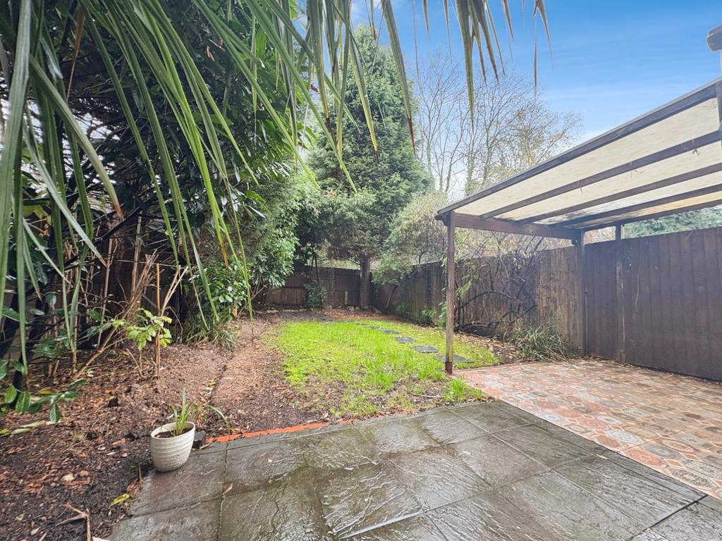 Back Garden