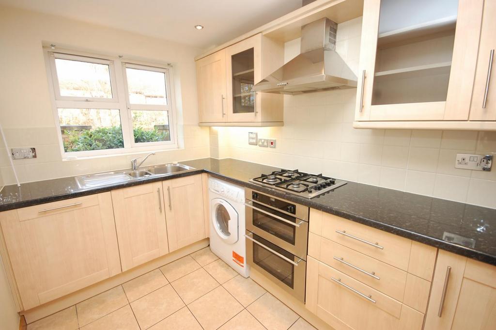 Kitchen View 1