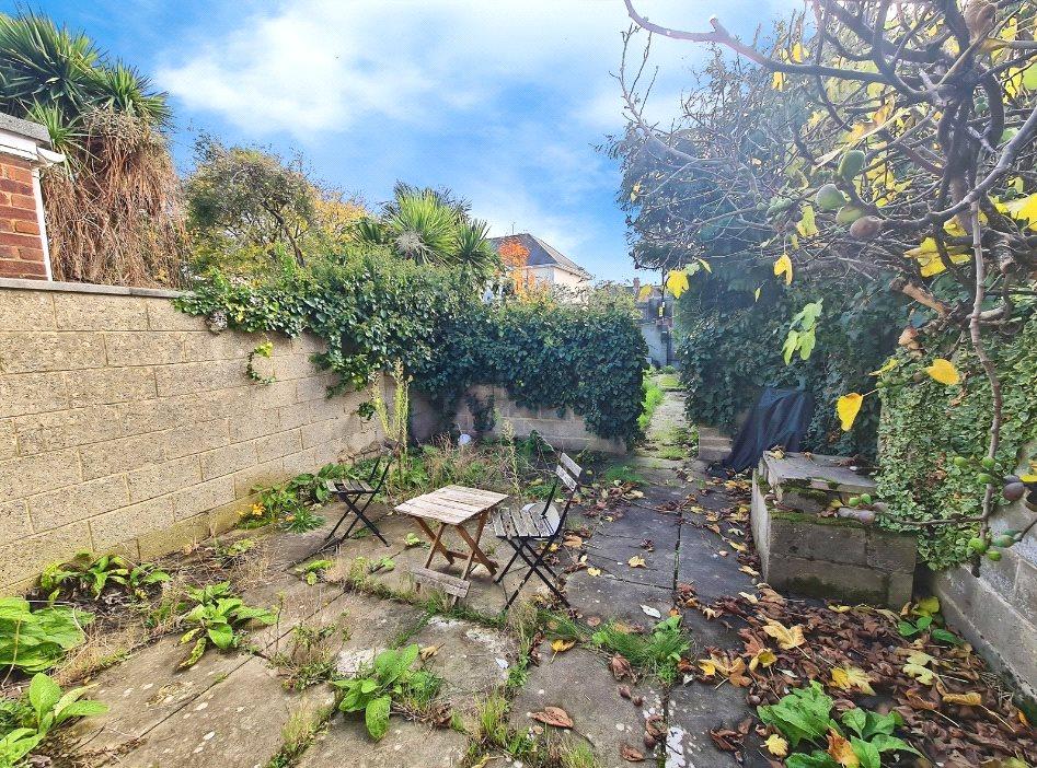 Picture No. 11