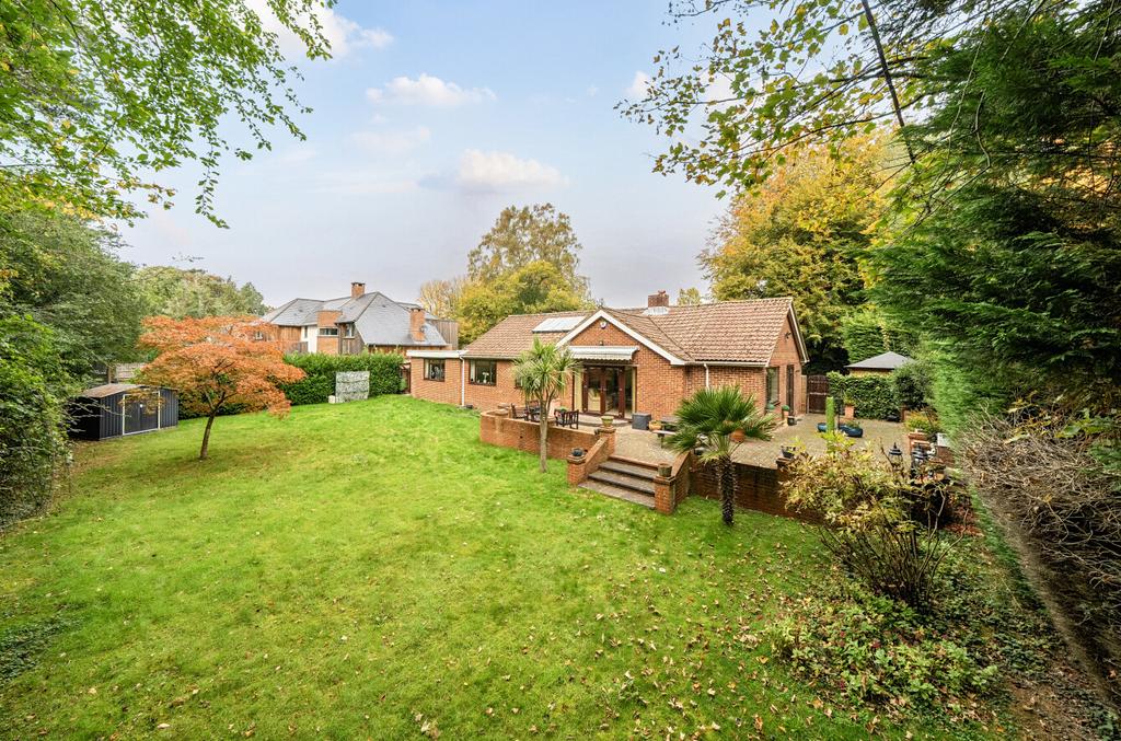 1365706-2-68ecdac...