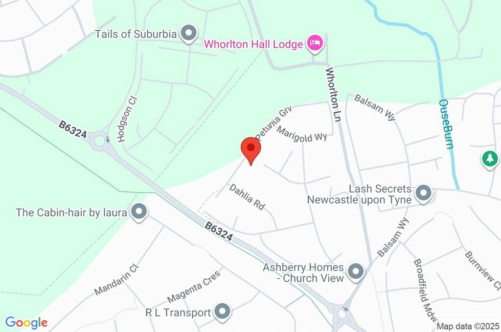 Google Maps Image