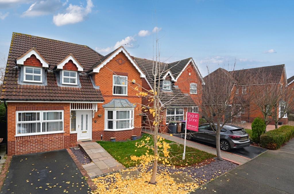 1-6913542cdf83b-1375402-JPG-1