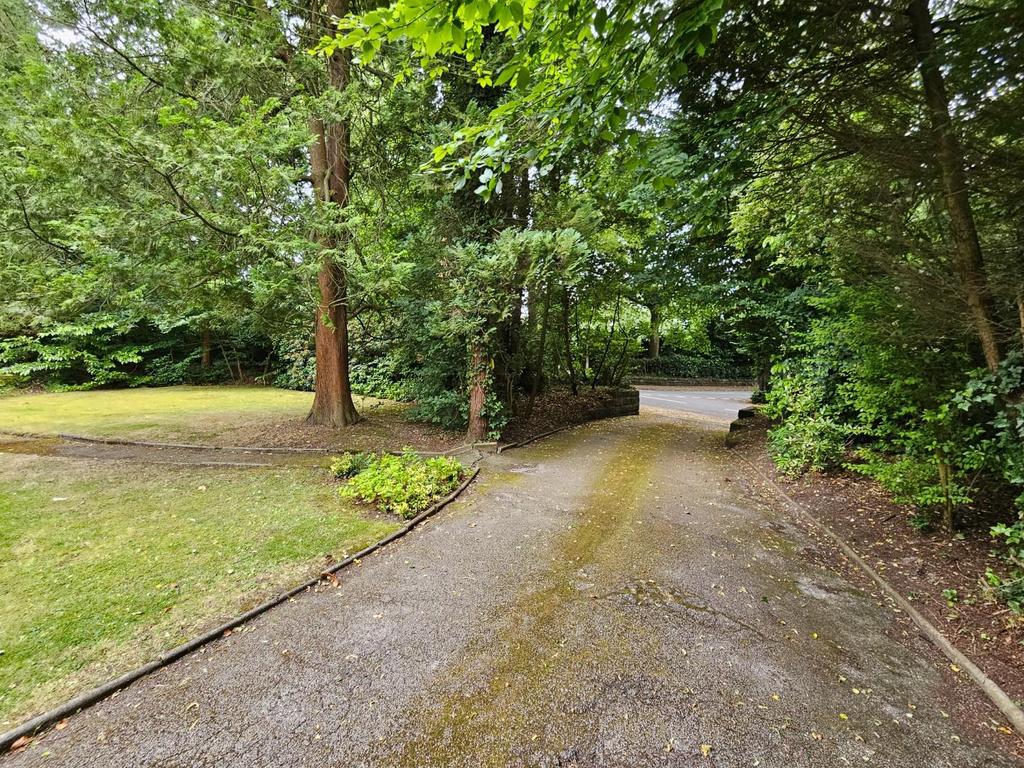 Driveway