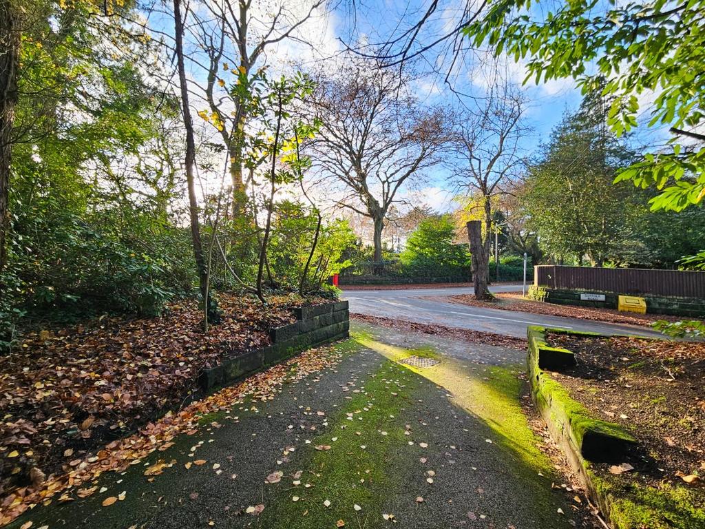 Communal Driveway