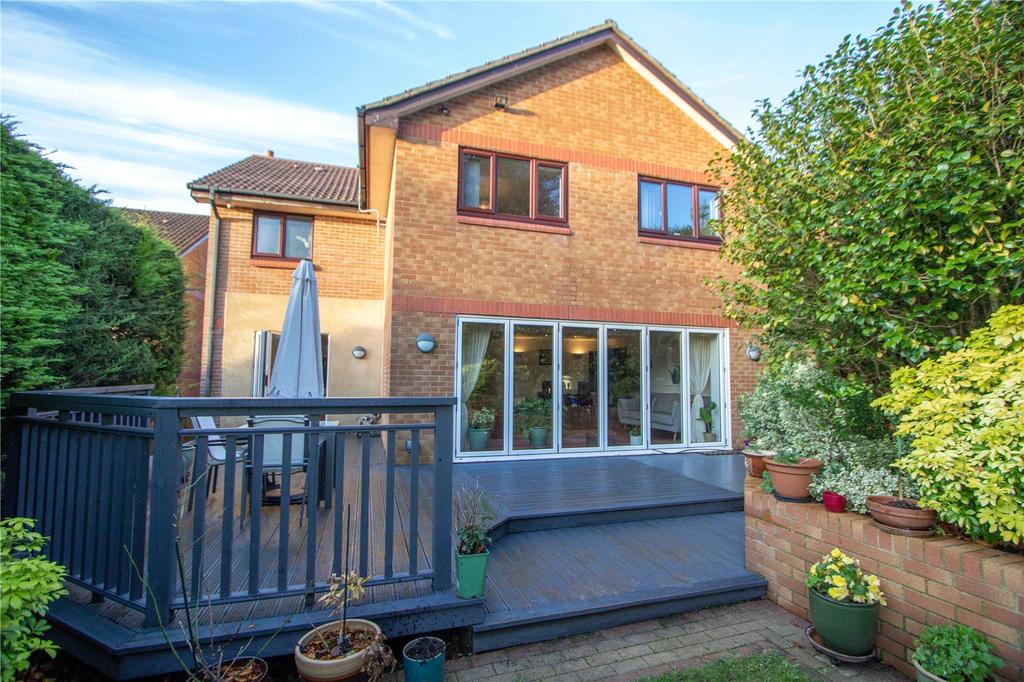 Rear Aspect