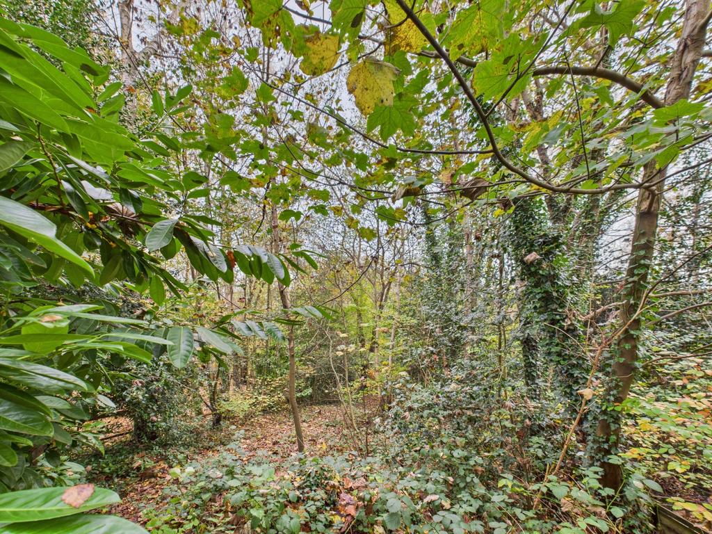 Woodland