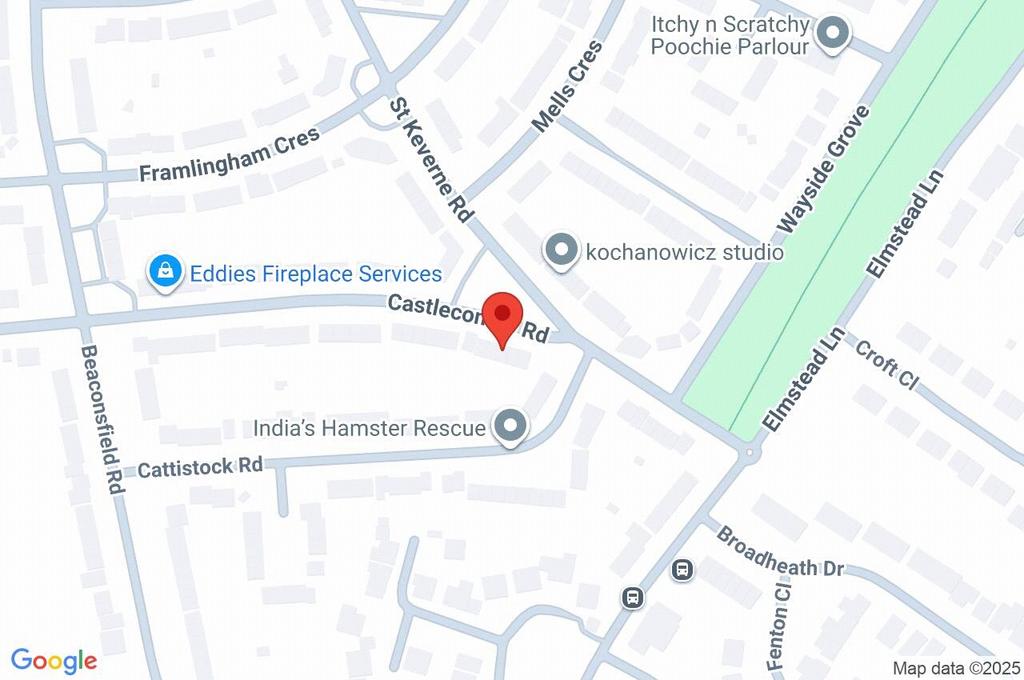 Google Maps Image