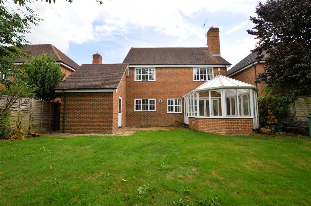 Rear Elevation