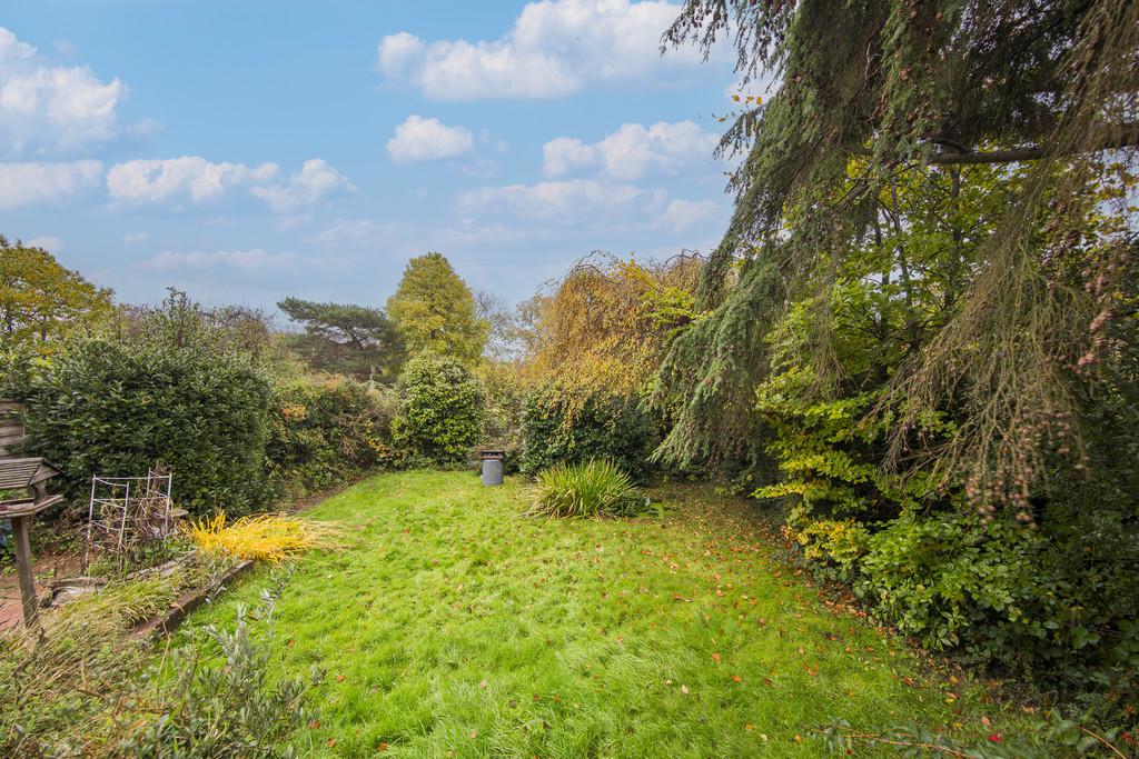 Garden 1