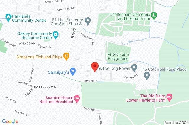 Google Maps Image