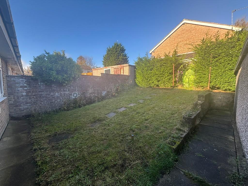 Back garden