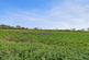 Additional image 14 of Hawthorne House, Chapel Lane, Tattershall Thorpe