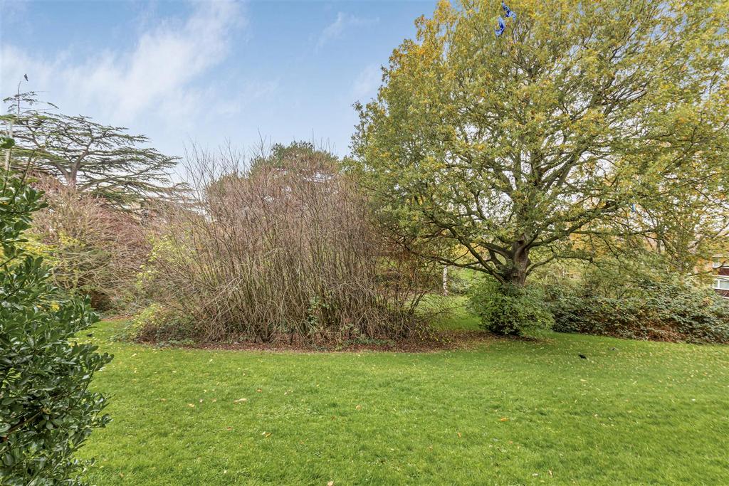 Communal Garden