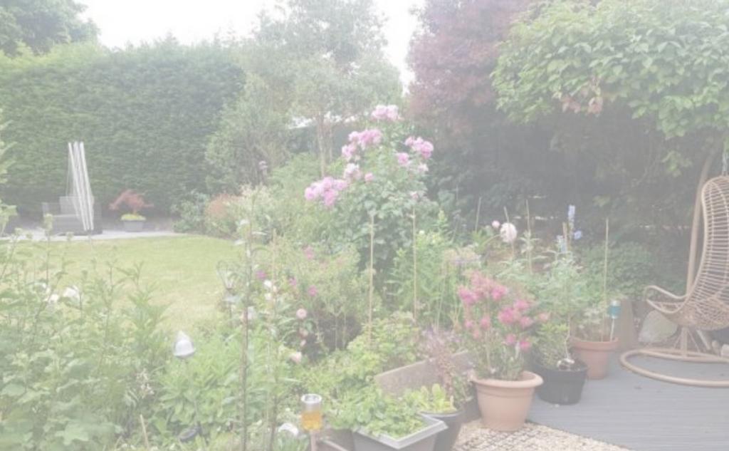 A beautifully landscaped garden filled with vib...