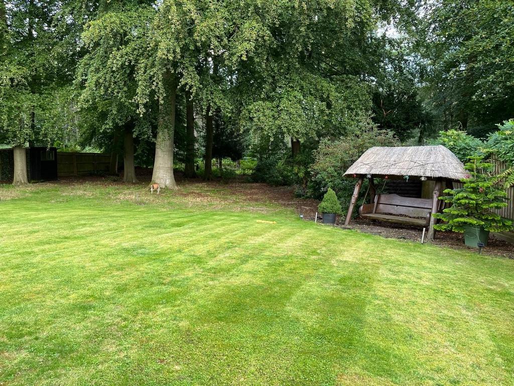 Garden In Summer