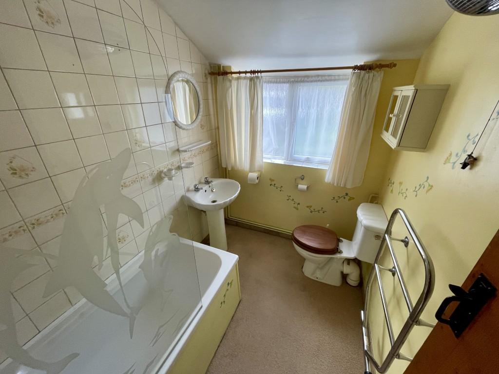 6 Medium T202511131606.jpg