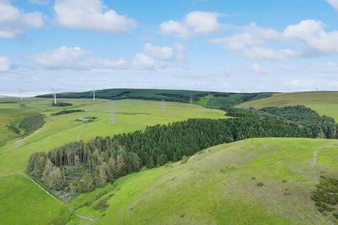undefined, Hartside Wood, Lauder, Scottish Borders TD2