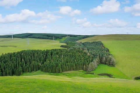 undefined, Hartside Wood, Lauder, Scottish Borders TD2