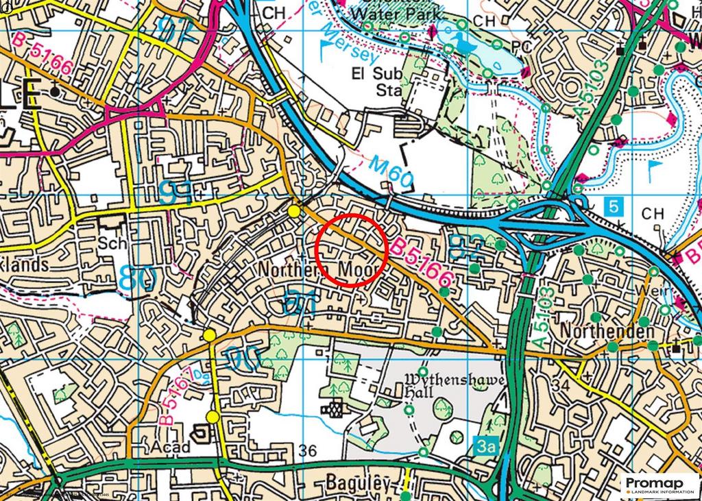 Town Plan
