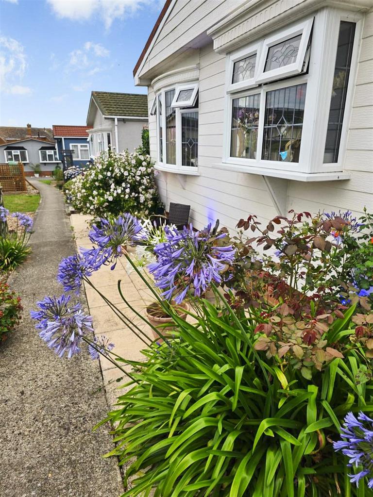 Garden-76207334.jpg
