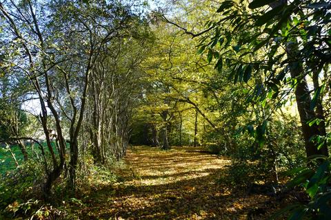 undefined, Holy Cross Wood, Broxbourne, Hertfordshire. EN10