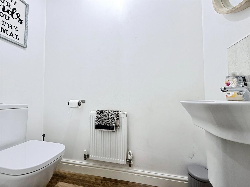 Picture 7