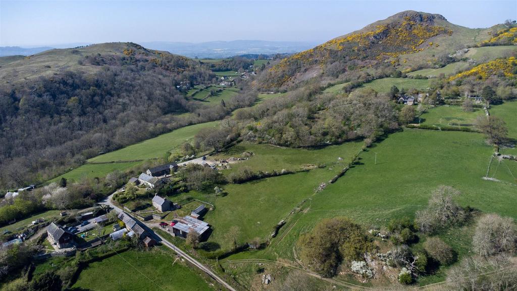 DJI 0729.jpg
