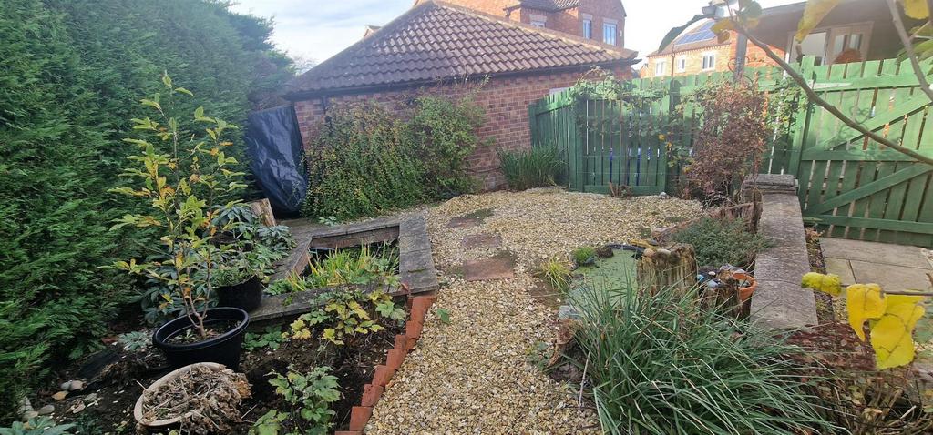 Garden (4)