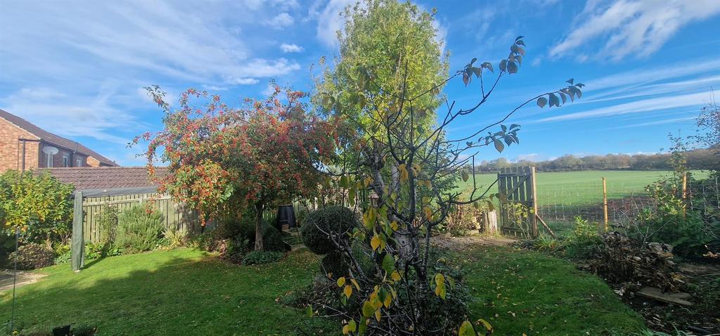 Garden (5)