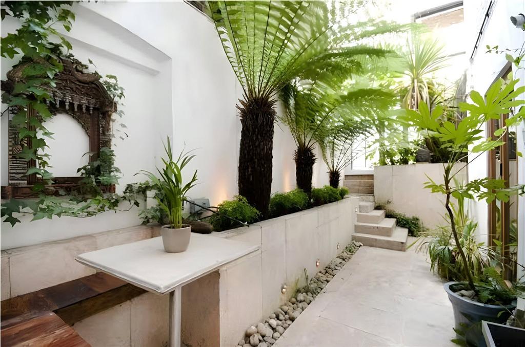 Oasis