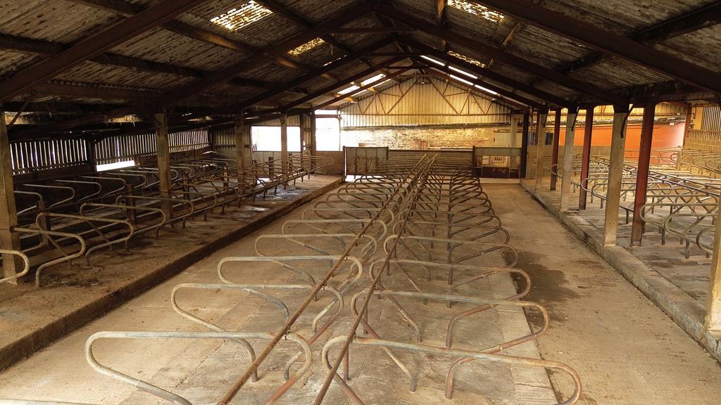 Cubicle shed