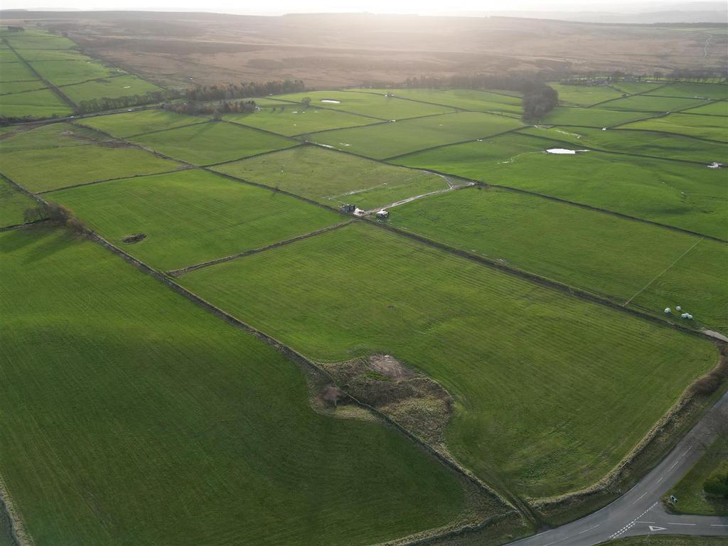Dji 0449.jpg