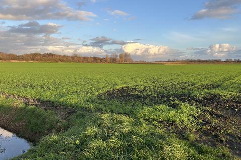 undefined, Common Lane, Banks PR9