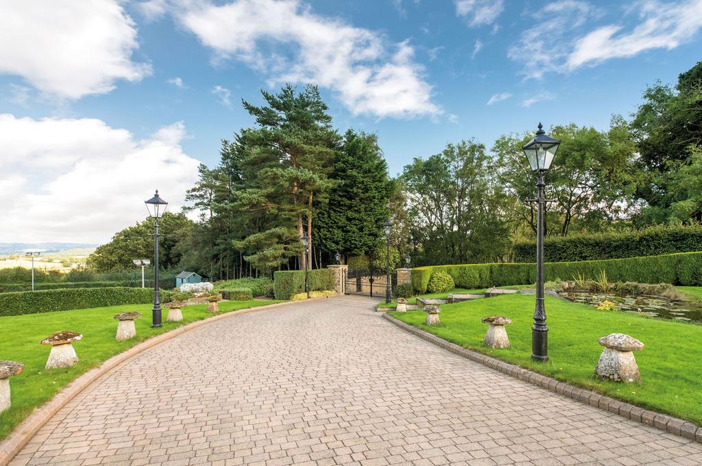 The gardens