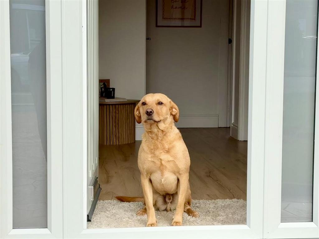 IMG 1786.jpeg