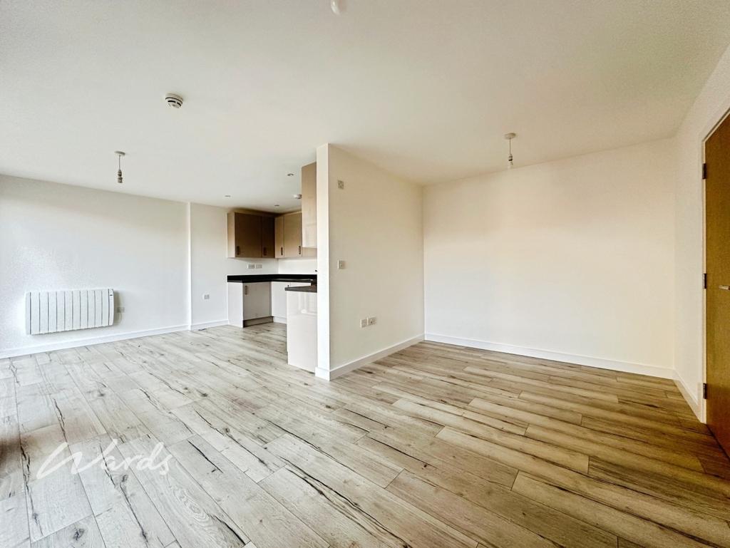 Living/Kitchen Area