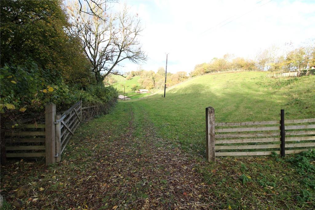 Middle Paddock